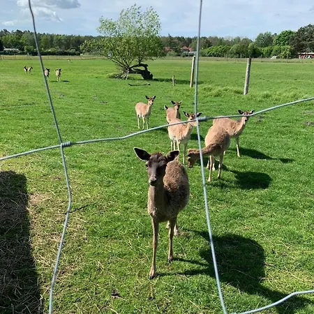 Zum Schloss Appartement Halbe